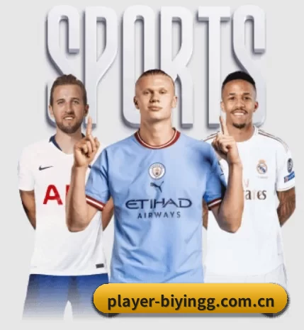 五大体育板块覆盖,从比分到直播全覆盖(BWIN)